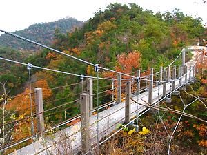笠松山のハイキングコースに架かる吊り橋