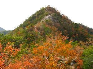 笠松山山頂と展望台