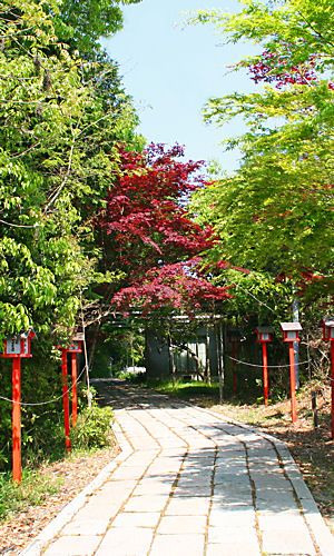 日吉神社幸せの小道