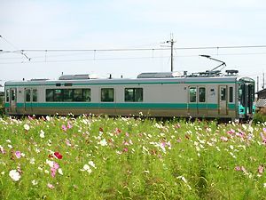 河高コスモス畑とJR加古川線電車