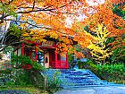 光明寺の紅葉/北播磨の紅葉スポット