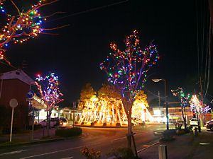 JR加古川線・JR西脇市駅のクリスマスイルミネーション