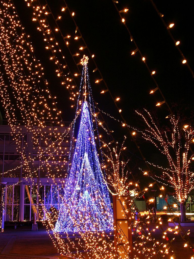 コミセンおの 小野市市民会館クリスマスイルミネーション 壁紙写真集 無料写真素材