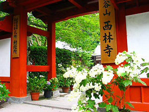 西林寺の寺務所・庫裡とあじさいの花