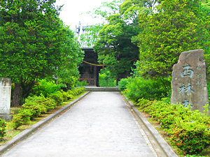 西林寺の参道と仁王門