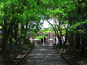 西林寺の本堂とモミジの新緑