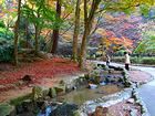 有馬温泉の紅葉と桜の名所 鼓ヶ滝公園と鼓ヶ滝/壁紙写真