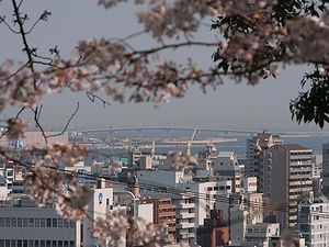 神戸の風景・神戸空港と神戸空港大橋・神戸スカイブリッジ