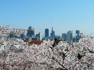 北野天満神社の桜と神戸の風景