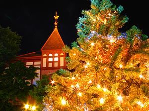 風見鶏の館と北野広場のクリスマスツリー
