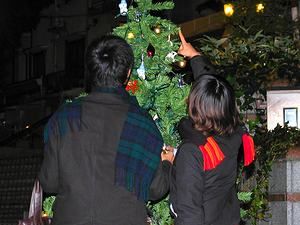 クリスマスツリーに飾りを付けるカップル