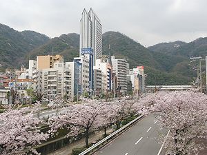 生田川の桜とJR新幹線新神戸駅、クラウンプラザ神戸