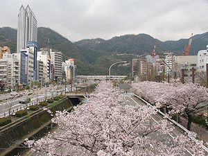 生田川の桜とJR新幹線新神戸駅、クラウンプラザ神戸
