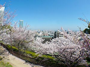 北野浄水場跡の遊歩道の桜並木と神戸の風景