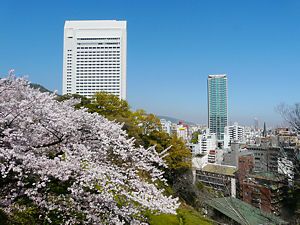 北野浄水場跡の遊歩道の桜並木とクラウンプラザ神戸