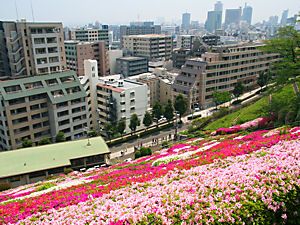 北野浄水場（北野配水場）のツツジと神戸の風景