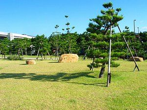 舞子タワー跡地と舞子公園の松林