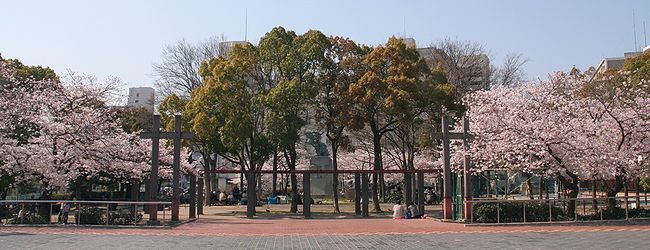 湊川公園の桜と楠木正成の像