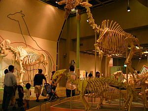 神戸王子動物園・動物科学資料館