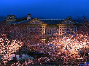 王子動物園の異人館・旧ハンター住宅/桜ライトアップ夜景