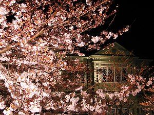 王子動物園の異人館・旧ハンター住宅/桜ライトアップ夜景