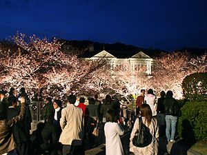 異人館・ハンター住宅と桜のライトアップ夜景