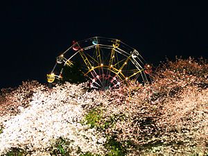 王子動物園の遊園地と桜のライトアップ