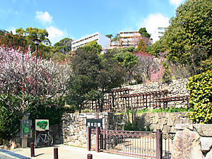 神戸 岡本梅林・岡本公園
