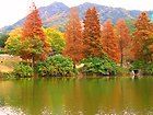 奥須磨公園・神戸の桜と紅葉の名所