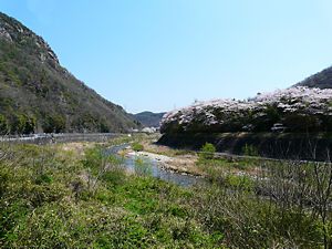 武庫川と桜並木
