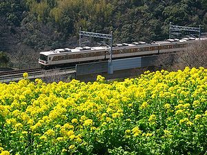 総合運動公園・菜の花畑と神戸市営地下鉄