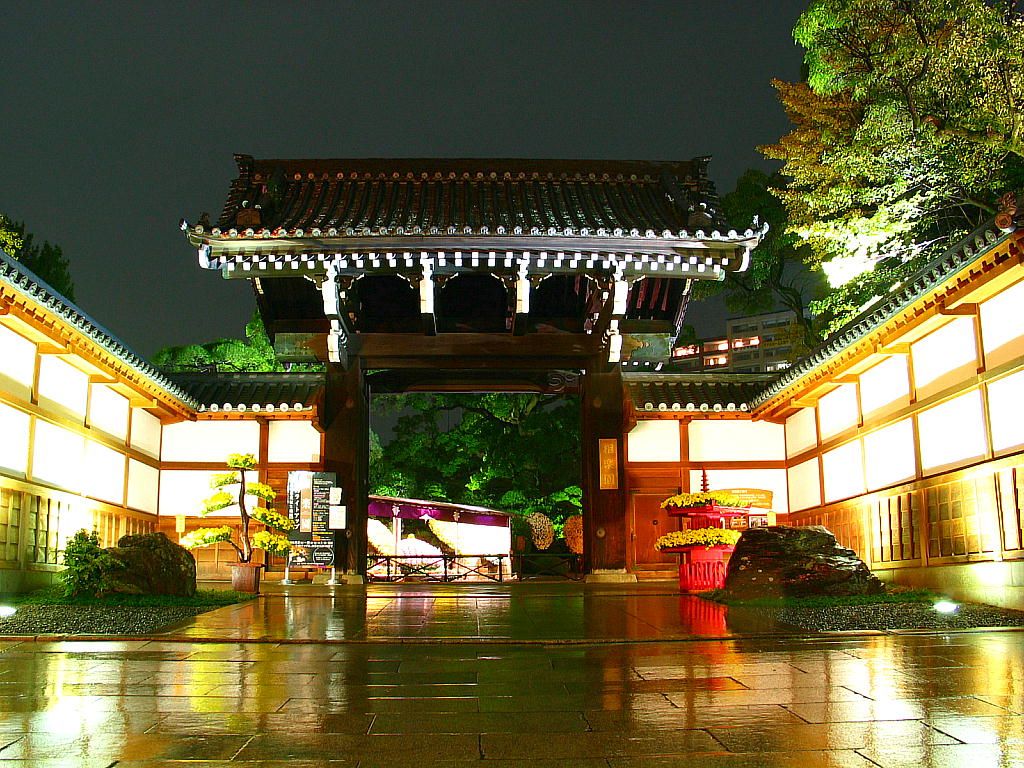相楽園ライトアップ 日本庭園のライトアップ夜景 壁紙写真集 無料写真素材