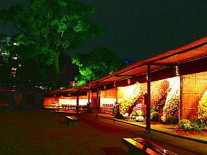 神戸菊花展ライトアップ夜景