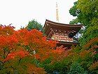 源平ゆかりの古刹・須磨寺の紅葉/神戸の紅葉風景写真