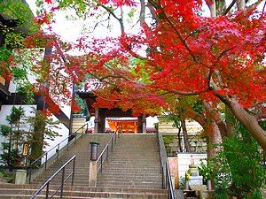 須磨寺参道の紅葉