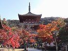 国宝三身山太山寺・神戸の紅葉の名所・紅葉スポット