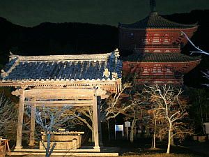 太山寺三重の塔ライトアップ夜景