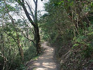 丸山・菊水山方面への登山道