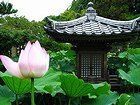 竜華山転法輪寺・垂水区最古の寺と仏像/神戸の寺院風景写真