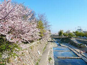 都賀川の桜並木