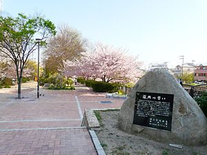 都賀川公園の桜と阪神淡路大震災メモリアルモニュメント