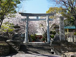 筒井八幡神社の鳥居と桜