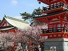 綱敷天満宮の梅/神戸の風景写真,観光情報