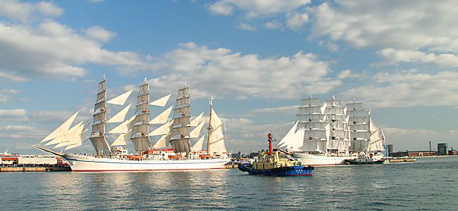 日本丸と海王丸の総帆展帆（フルセイル）