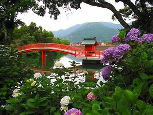 あじさいの里・安志加茂神社のあじさい園