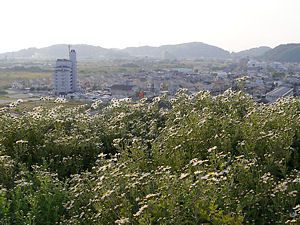 日笠山のじぎく園と姫路市大塩の風景