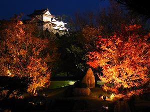 好古園の紅葉と日本庭園のライトアップ/好古園紅葉会