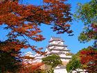 世界遺産姫路城の紅葉/壁紙