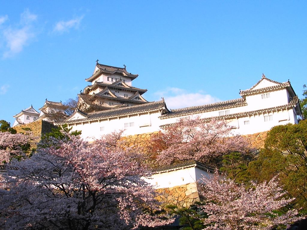 姫路城の桜 姫路城公園の花見 壁紙写真集 無料写真素材