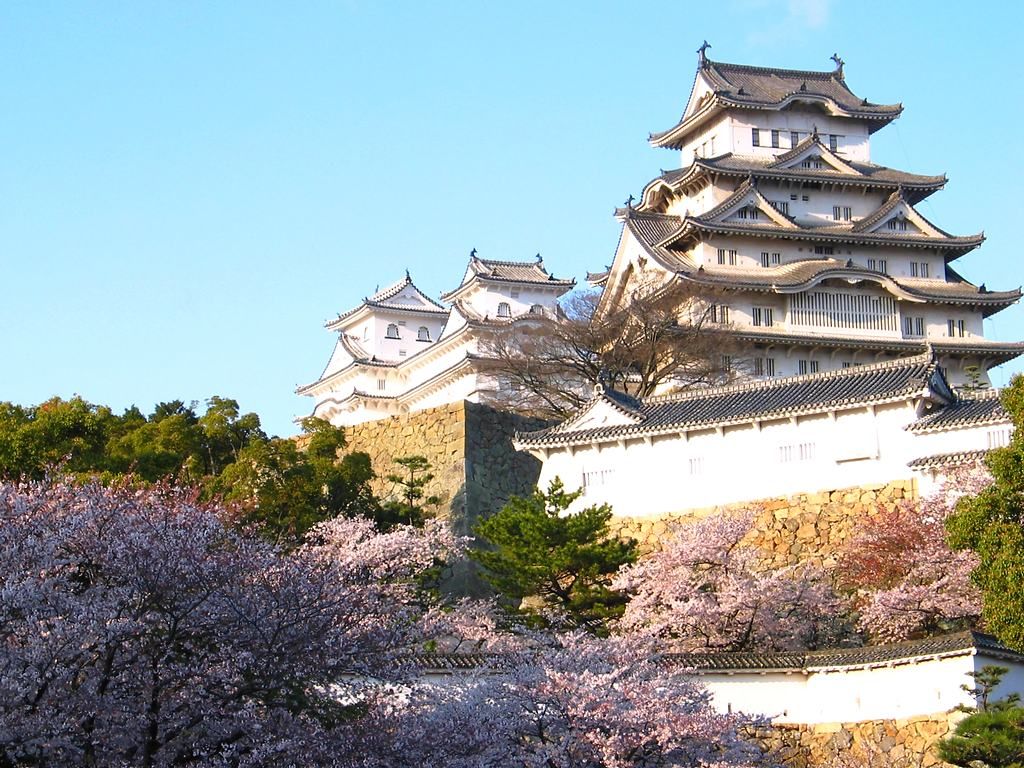 姫路城の桜 姫路城公園の花見 壁紙写真集 無料写真素材